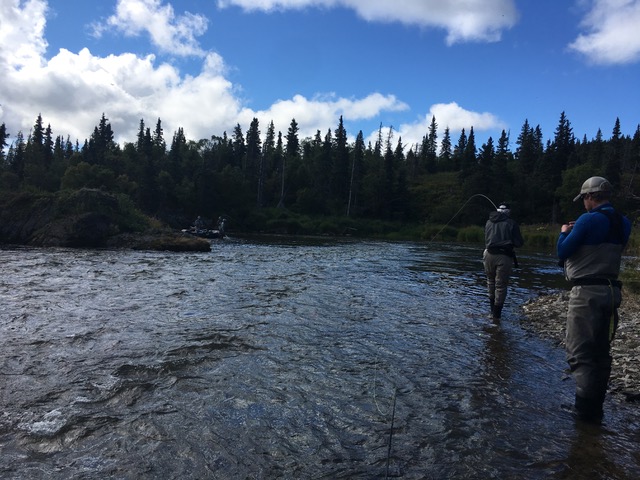 Newhalen Lodge 2017 Expedition - Week #10