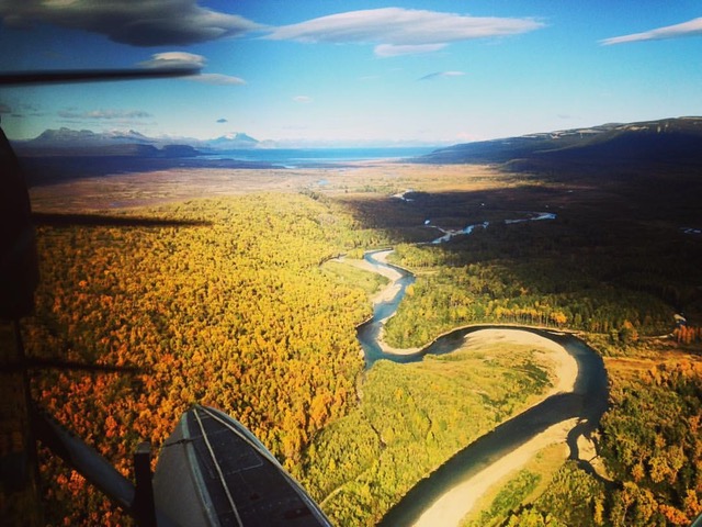 Newhalen Lodge 2017 Expedition - Week #12