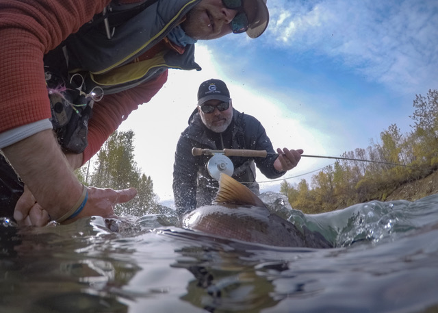 Newhalen Lodge 2017 Expedition - Week #15