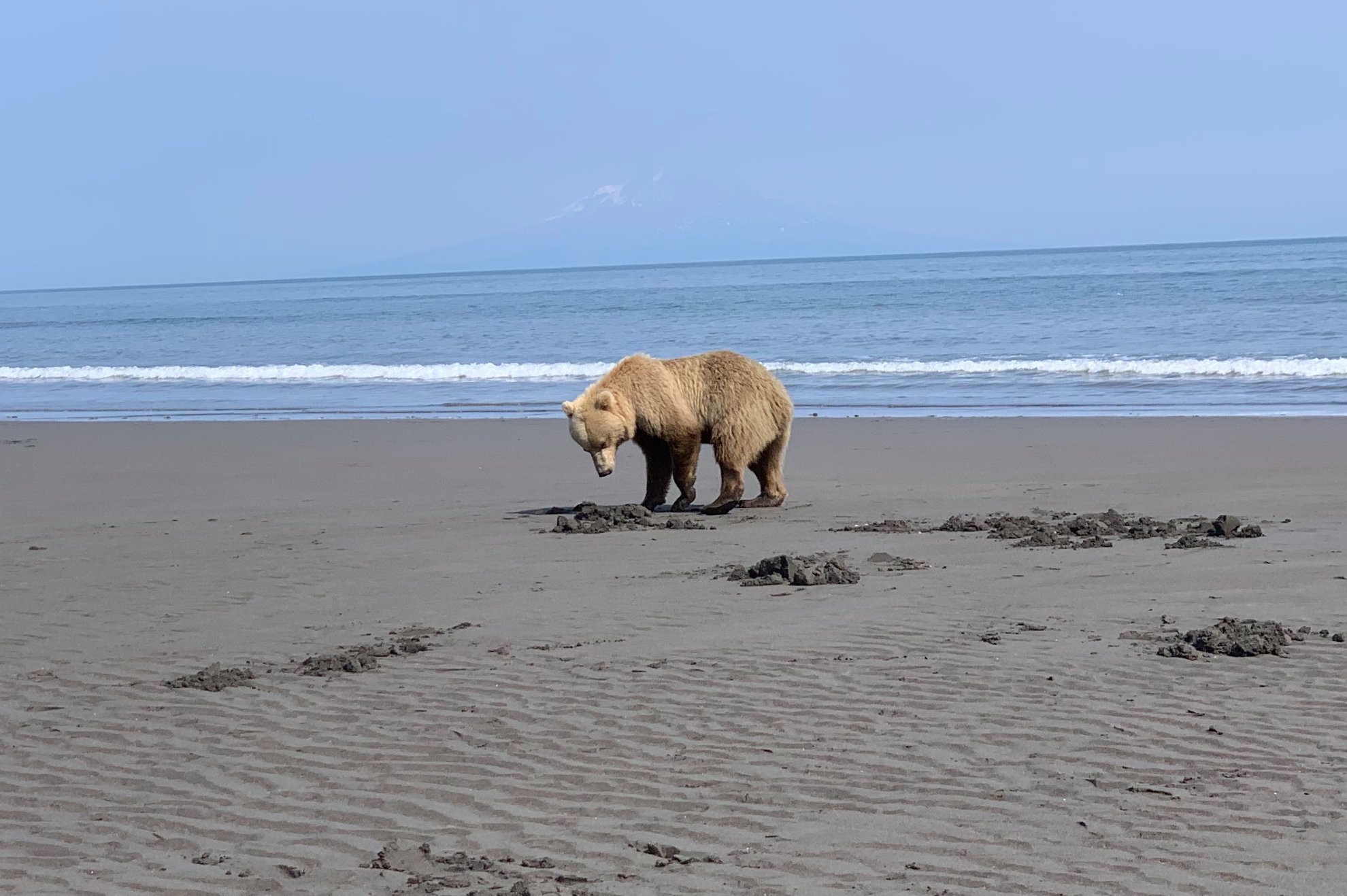 Newhalen Lodge 2019 Expedition - Week #4