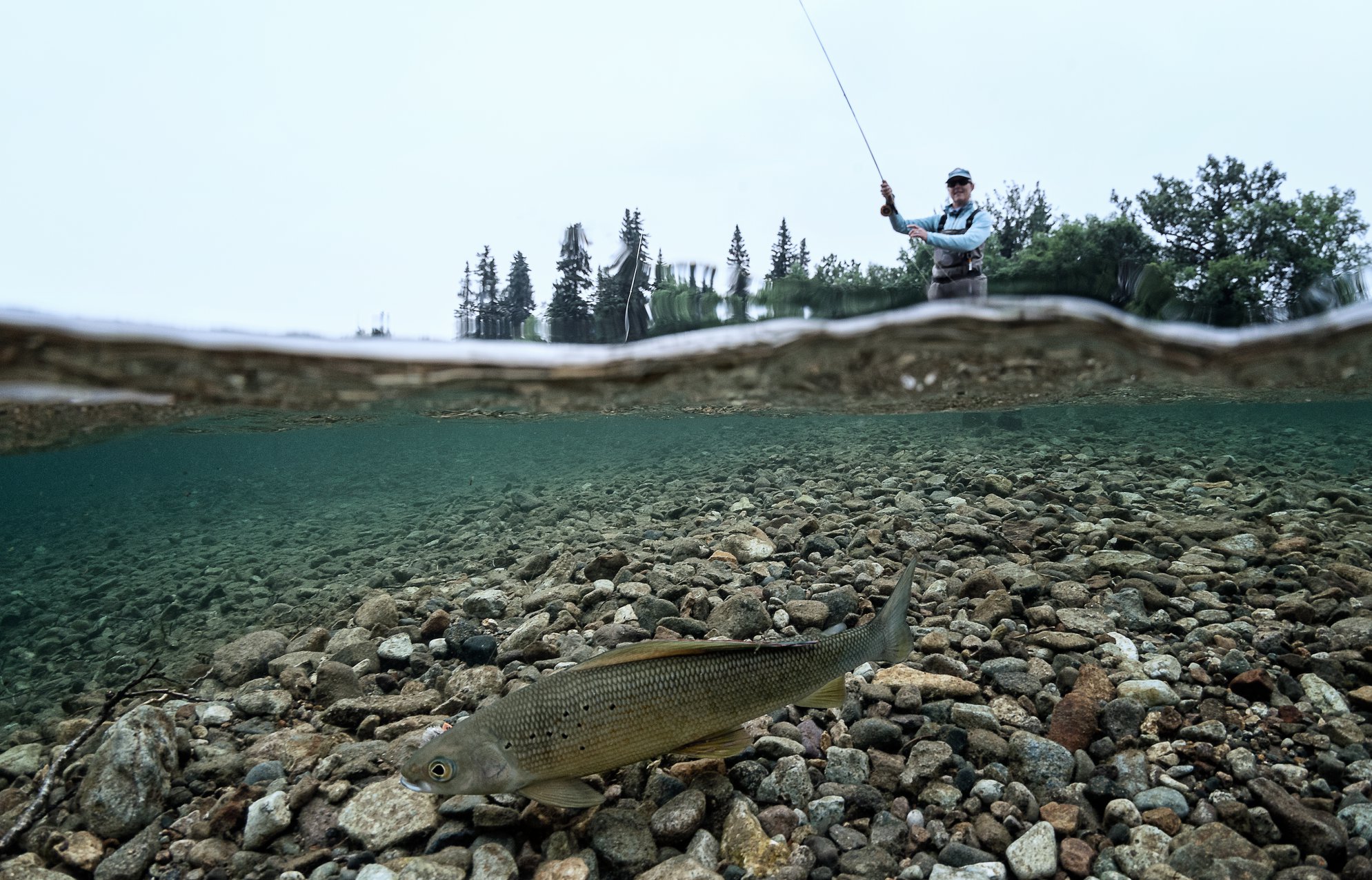 Newhalen Lodge 2019 Expedition - Week #5