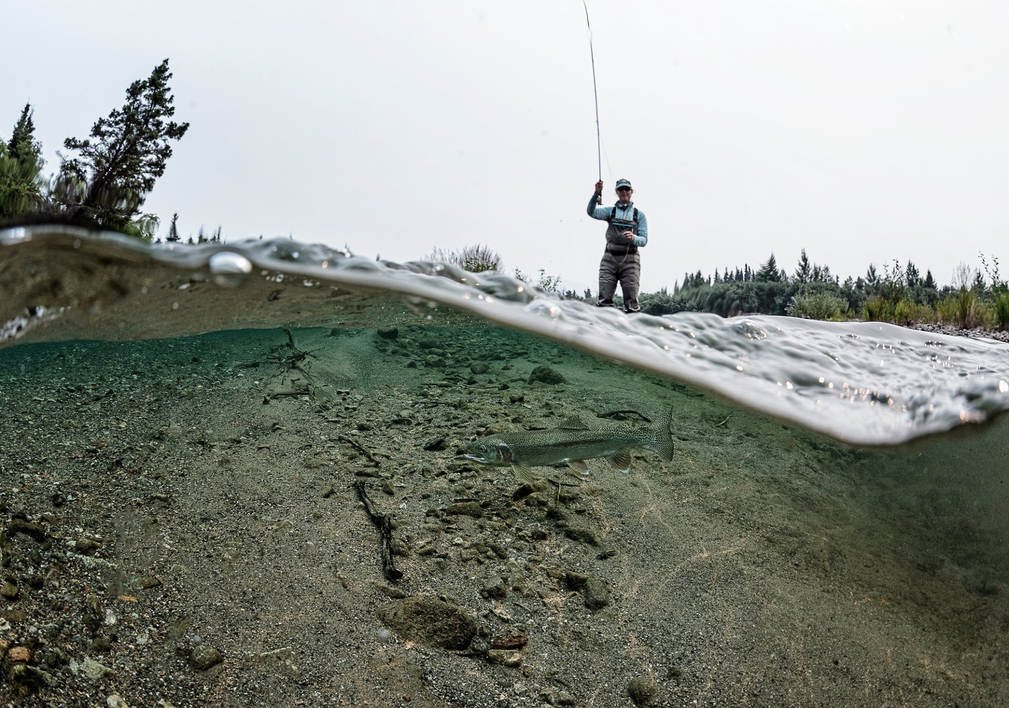 Newhalen Lodge 2019 Expedition - Week #5