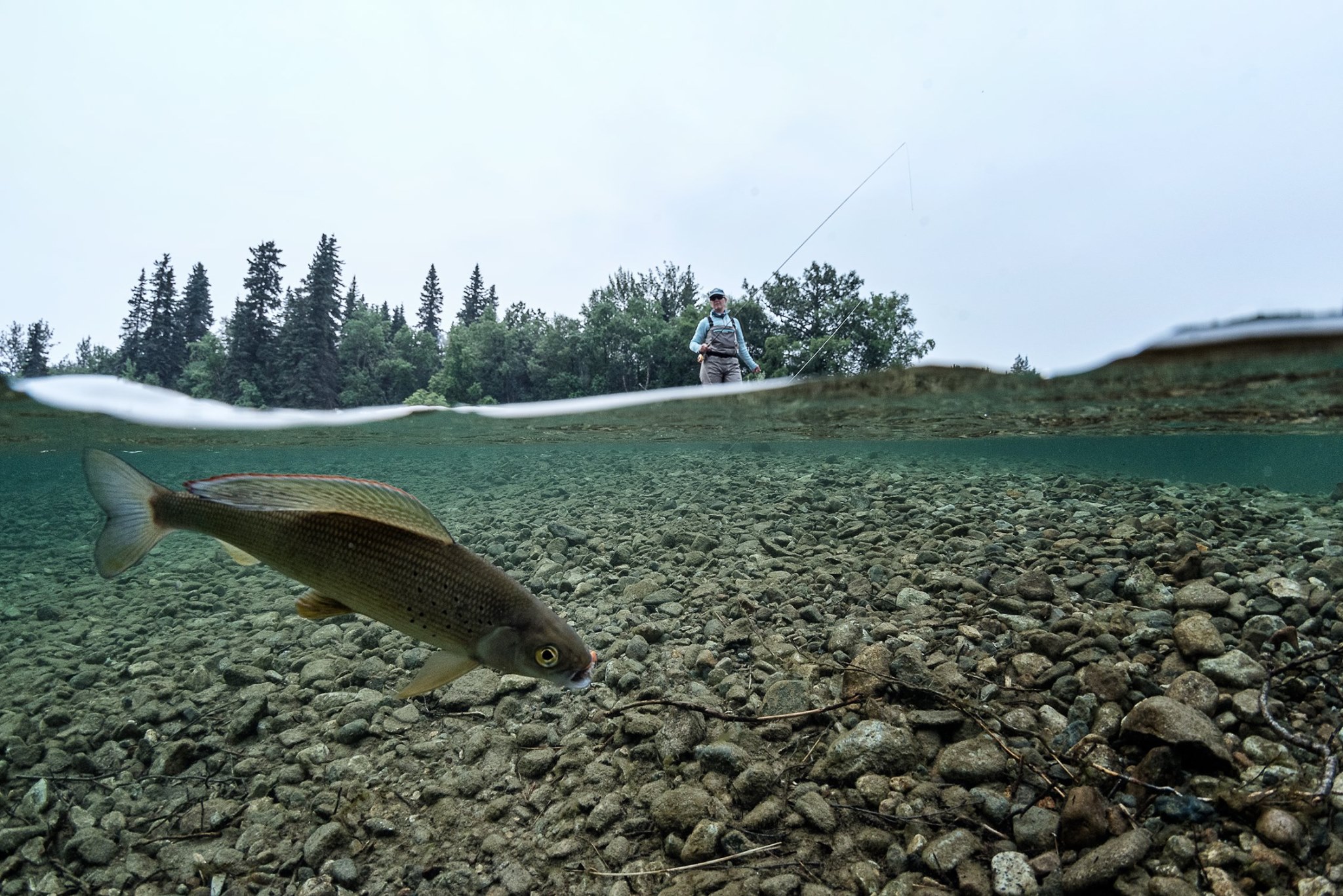 Newhalen Lodge 2019 Expedition - Week #5