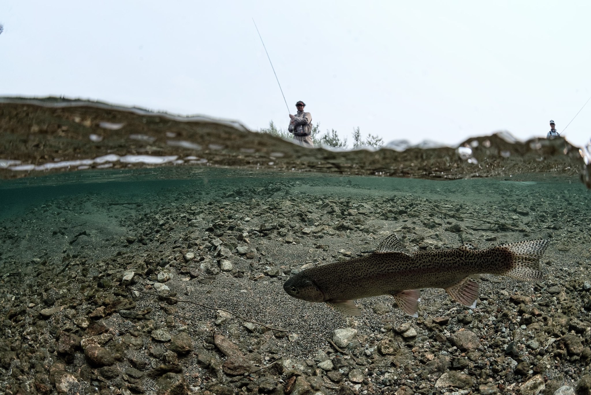 Newhalen Lodge 2019 Expedition - Week #5