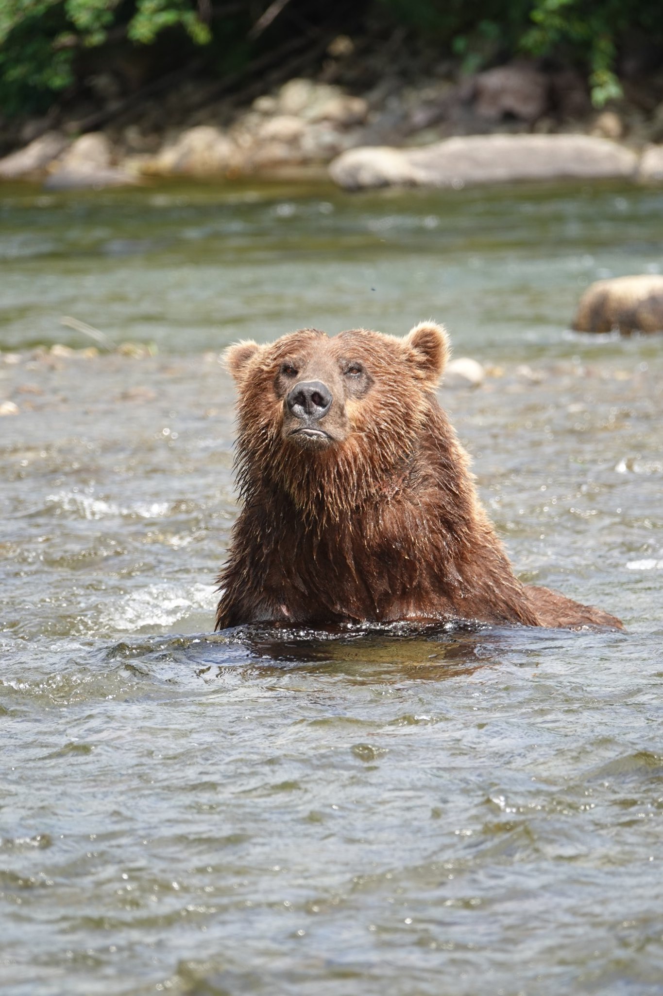 Newhalen Lodge 2019 Expedition - Week #7