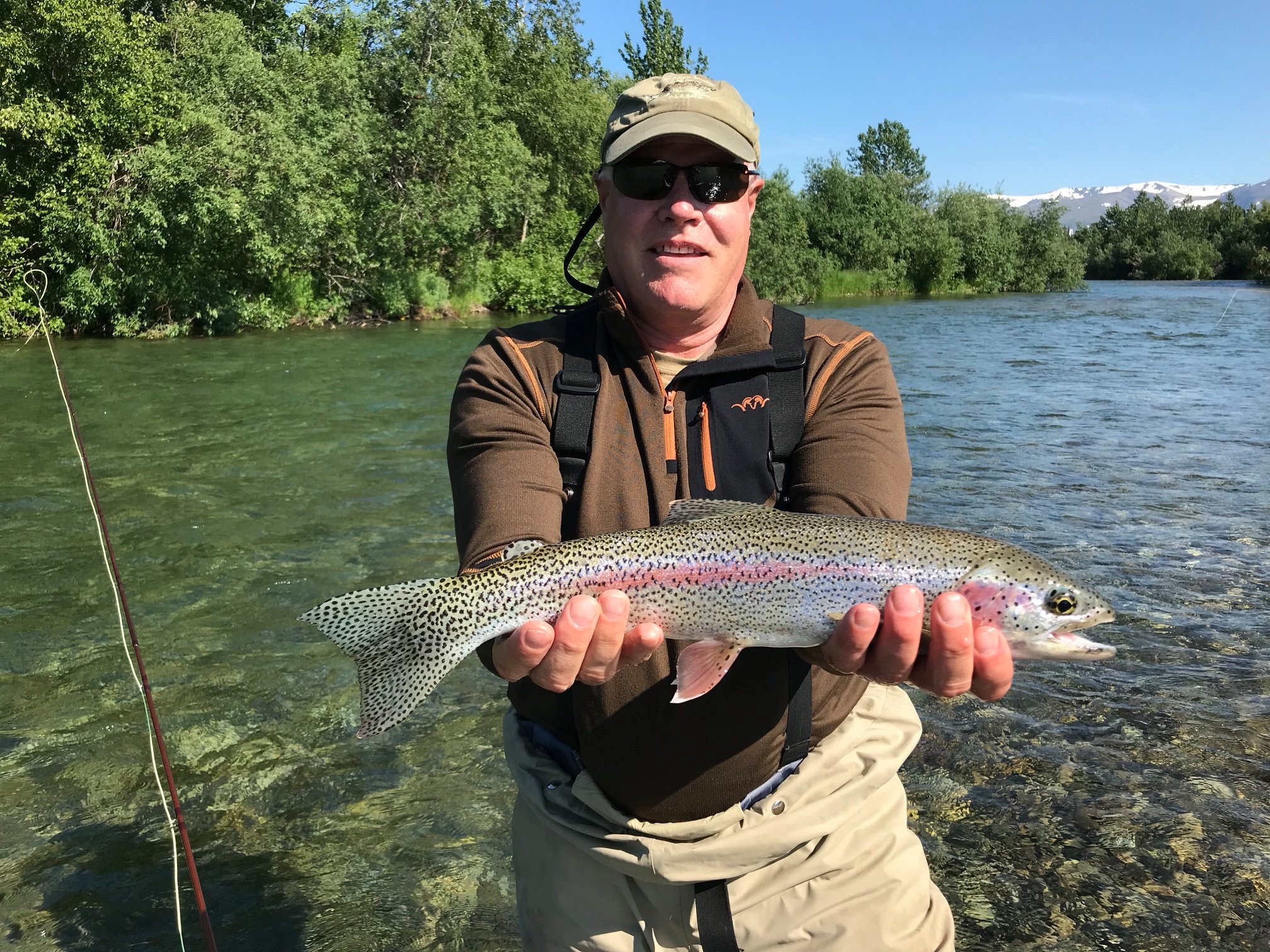 Released sockeye in clear water