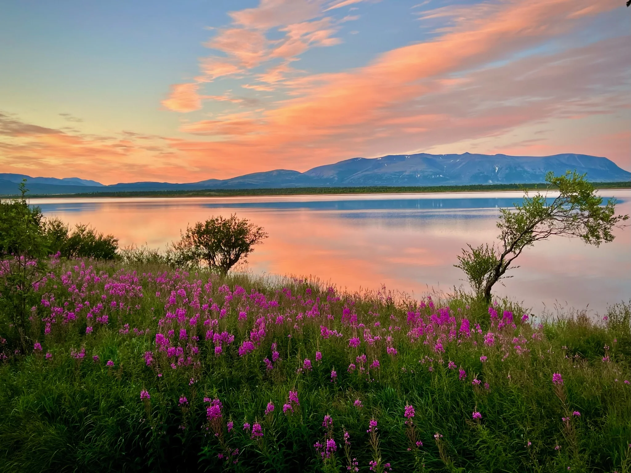 2025 Season — Newhalen Lodge
