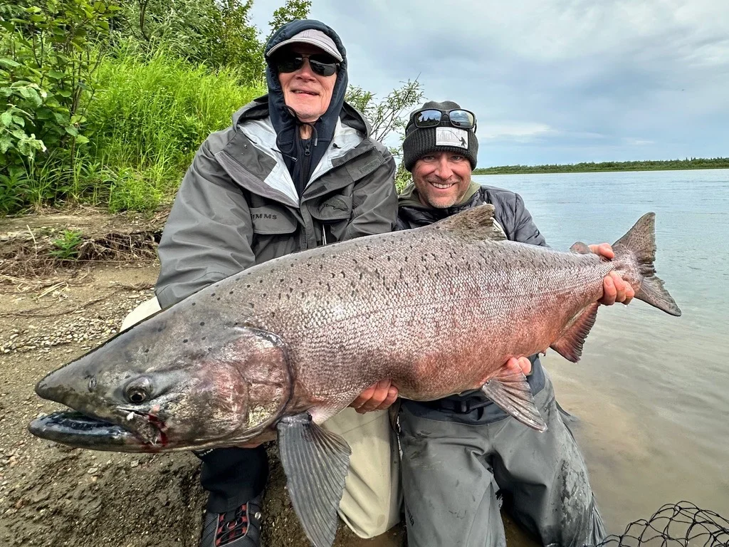 Bristol Bay salmon run timing chart